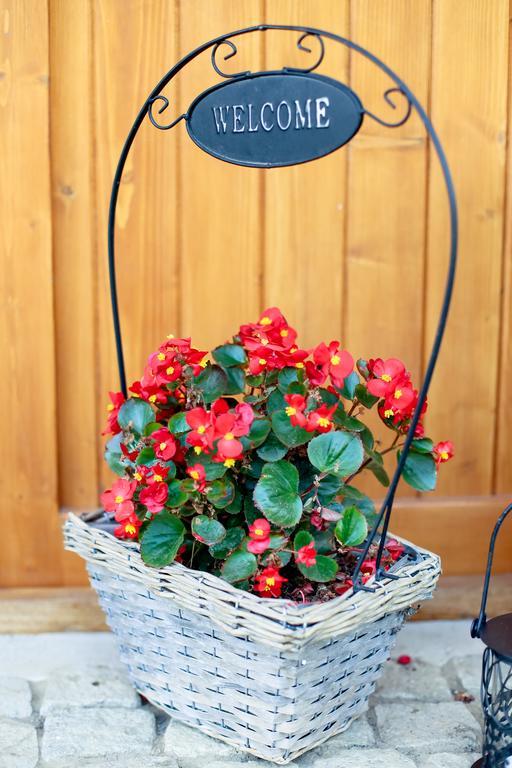 Bed & Breakfast Landhaus